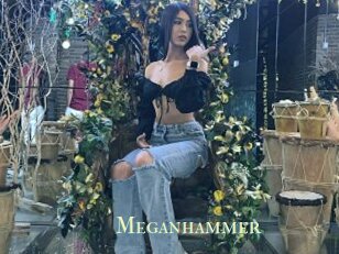 Meganhammer