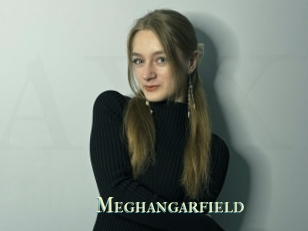 Meghangarfield