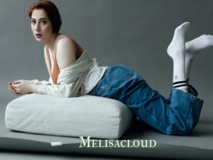 Melisacloud