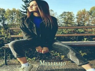 Mellisajo
