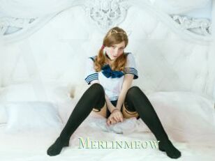 Merlinmeow