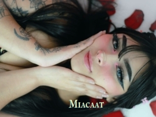 Miacaat