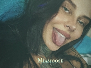 Miamoose