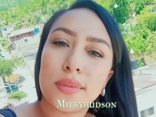 Mileyhudson