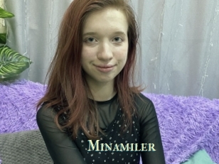 Minamiler