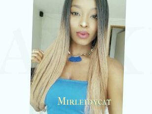 Mirleidycat