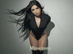 Missgissel