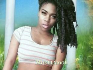 Modelmook