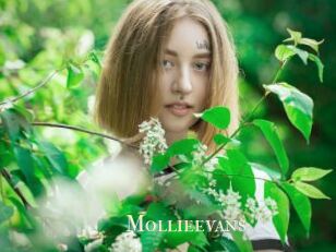 Mollieevans