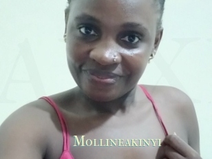 Mollineakinyi