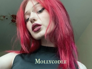 Mollycodle
