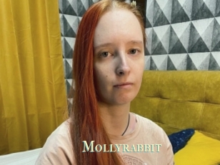 Mollyrabbit