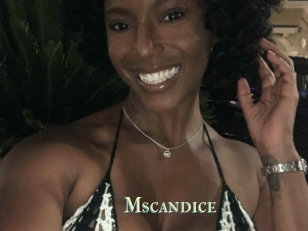 Mscandice