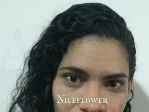 Nice_flower