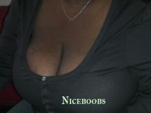 Niceboobs