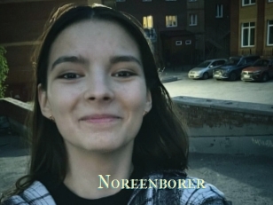 Noreenborer