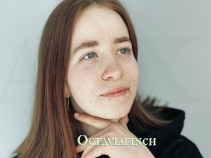 Octaviafinch