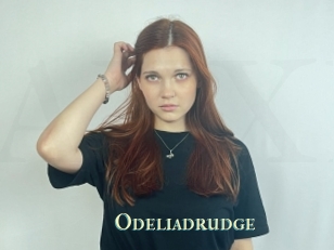 Odeliadrudge