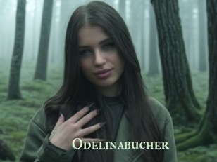 Odelinabucher