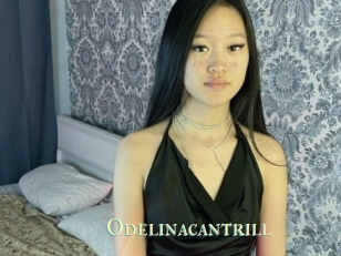 Odelinacantrill