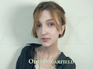 Odelinagarfield