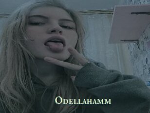 Odellahamm