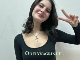 Odelynagrindel