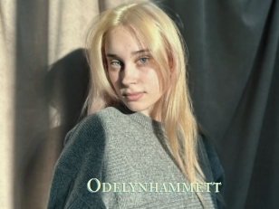 Odelynhammett