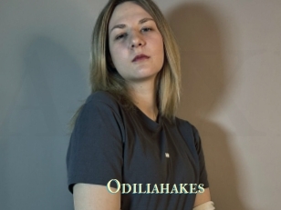 Odiliahakes