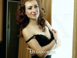 Olganorris