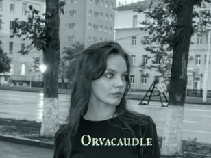 Orvacaudle
