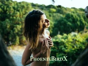 PhoenixBirdX