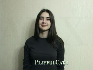 PlayfulCate