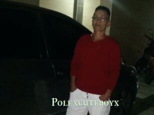 Polexcuteboyx