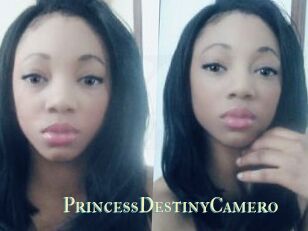 PrincessDestinyCamero