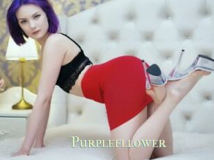 Purplefllower