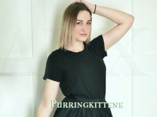 Purringkittene