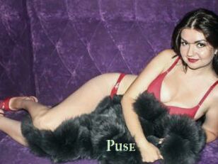 Puse