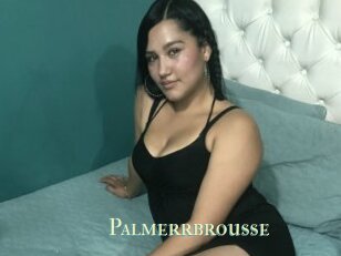 Palmerrbrousse