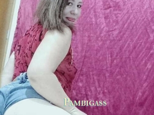 Pambigass