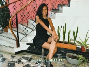 Pamelacurly