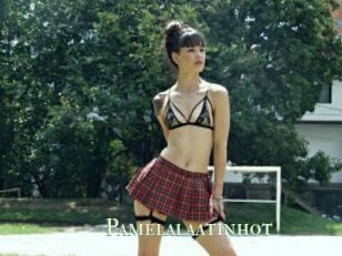 Pamelalaatinhot