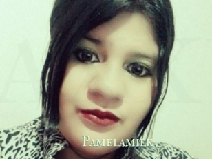 Pamelasuite