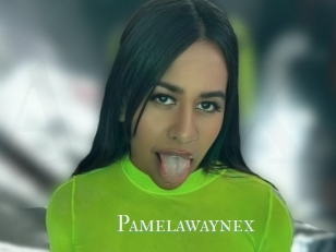 Pamelawaynex