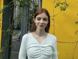 Peacefenning