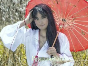 Penelopezeta