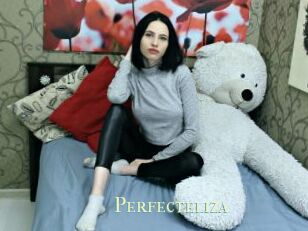 Perfecteliza