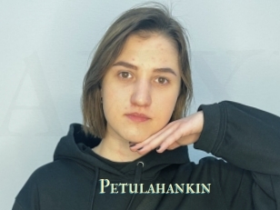 Petulahankin