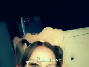 Pixbunny