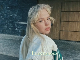 Plantarosa
